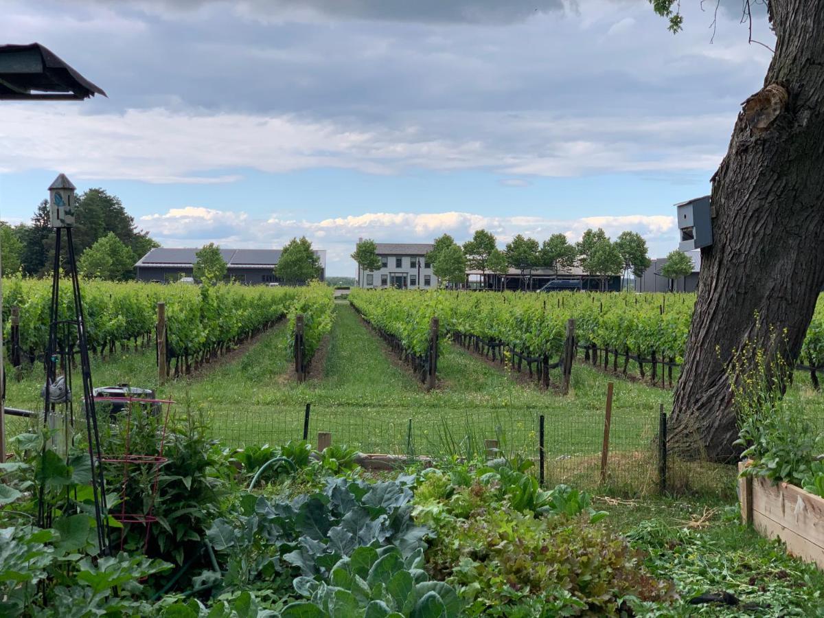 Green Oaks B&B Niagara-on-the-Lake Bagian luar foto